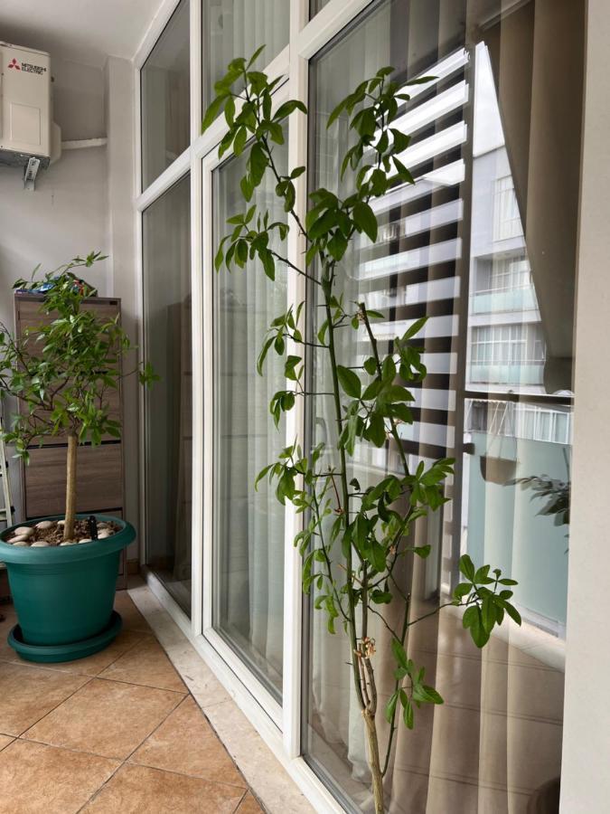 Olive Apartamento